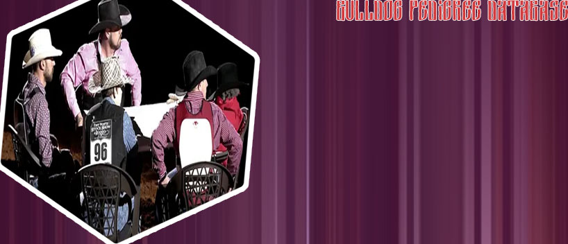Bull poker